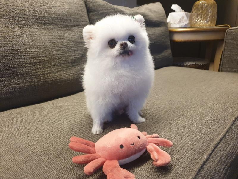 KakaoTalk_20220625_205510683_01.jpg
