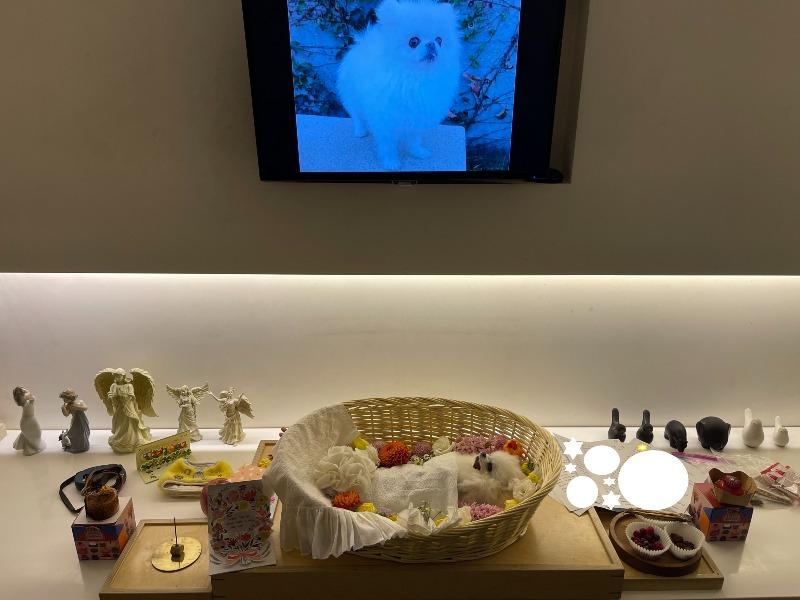 장례사진.jpg