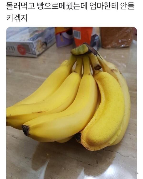 바나나인척 하기.jpg