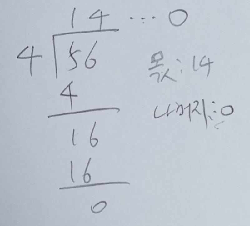 피데스 이미지