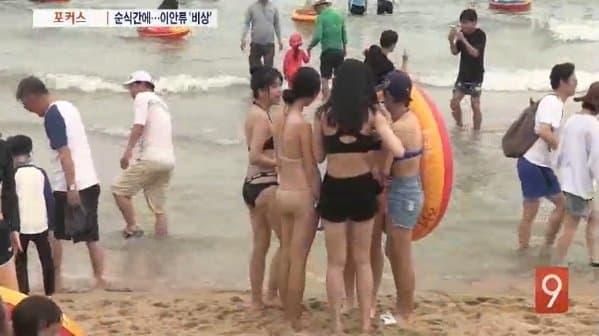 비상 이미지