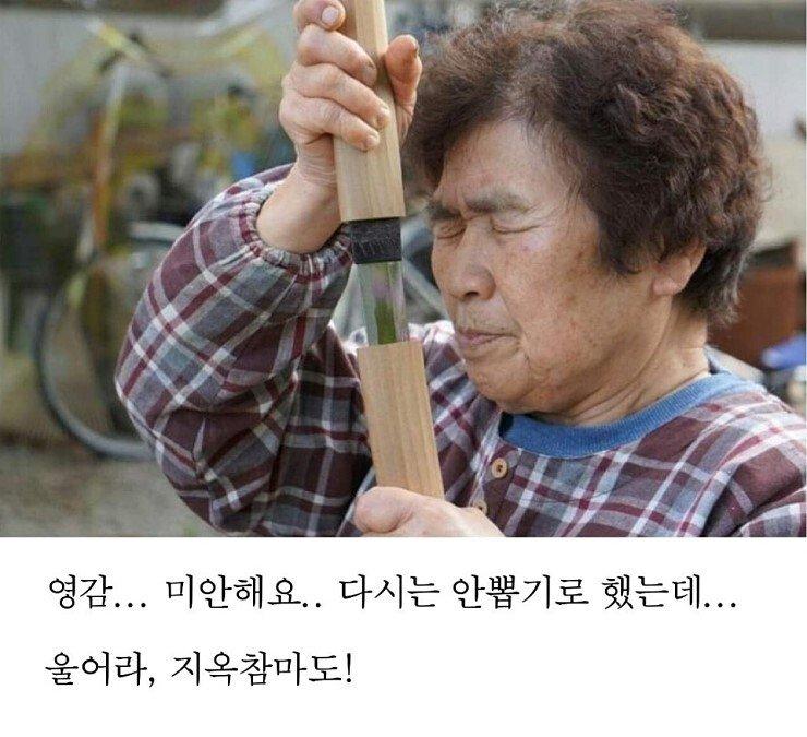 보배정보통신 이미지
