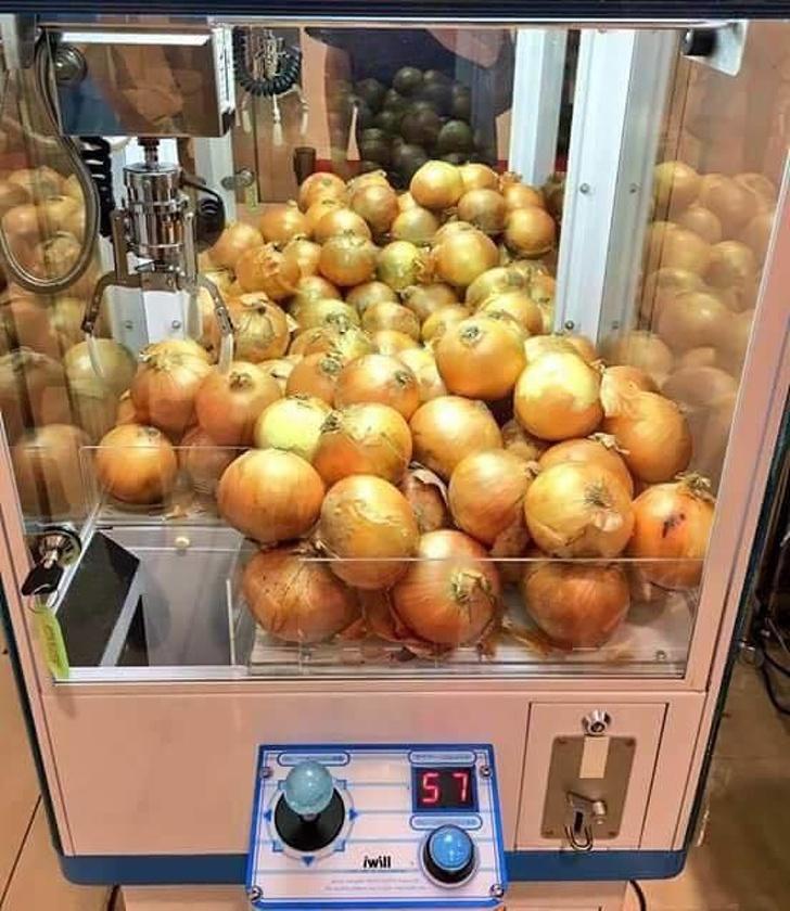 뽑기요 이미지