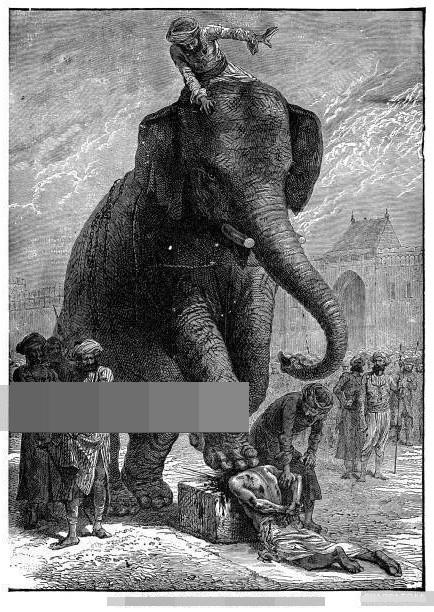 코끼리.jpg