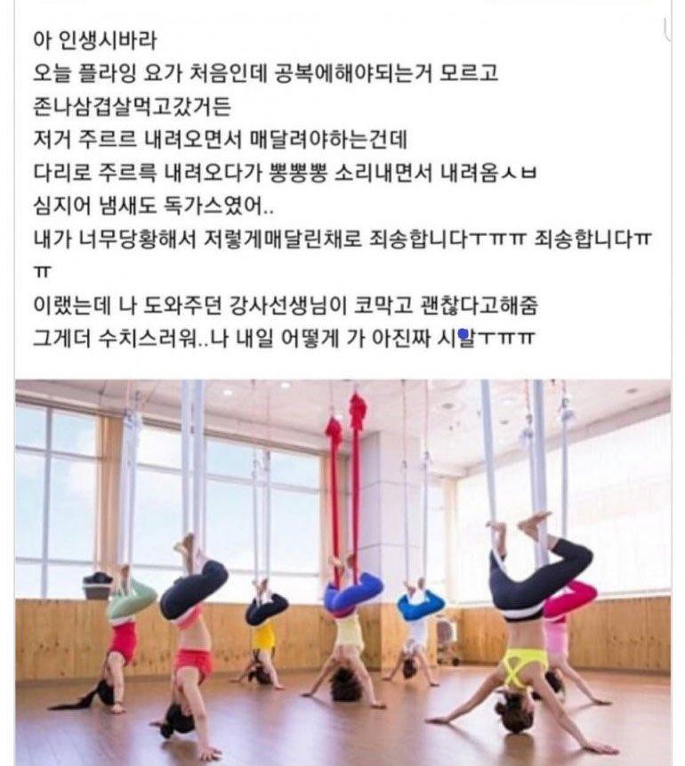 플라잉드림 이미지