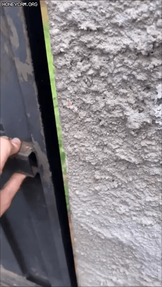8f3a61166ddcd3f773f99d4e68359a52_1676364337_74.gif
