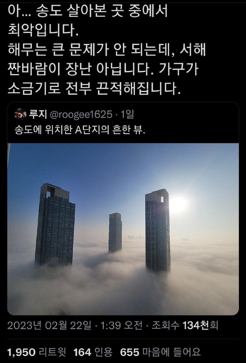 송도2.jpeg