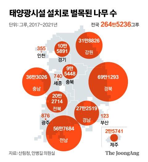 태양산림 이미지