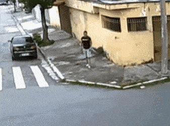 ckgu1561596712.gif