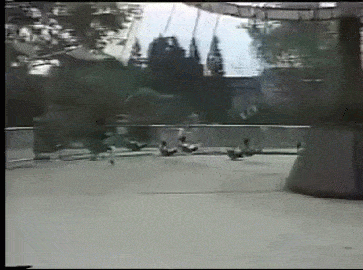 hans1562812407.gif