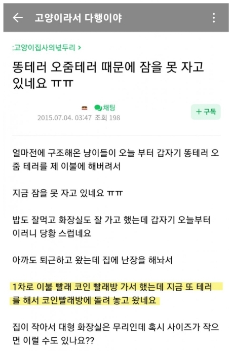 드림세탁소 이미지