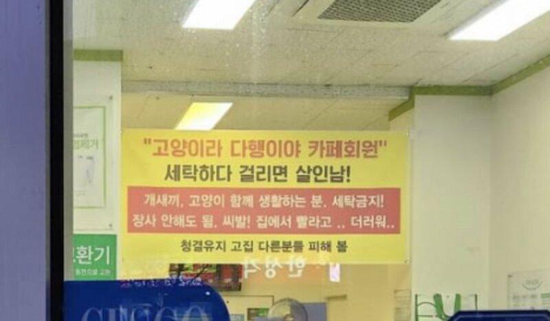 세탁하는사람들 이미지