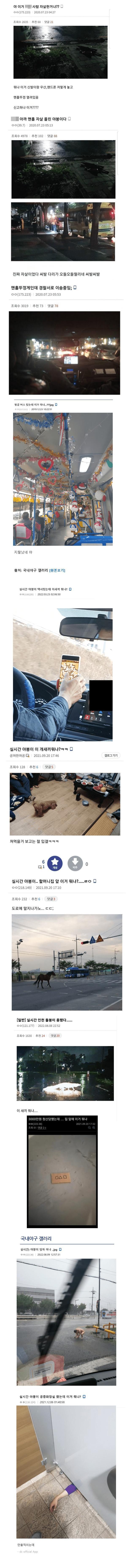 이거뭐냐-2.jpg