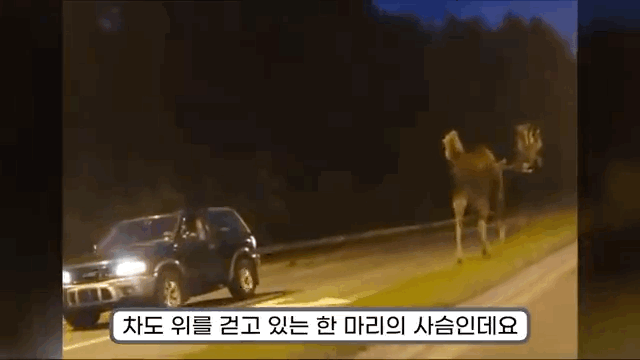 DCEAEB82-2D55-49F0-9991-056679C7C4C4.gif