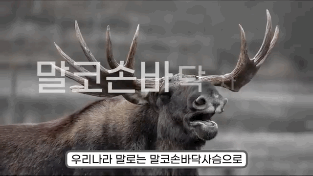 513B9C8D-A4C2-4A02-B3A1-E45FC364C4D0.gif