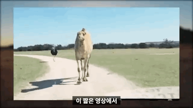 D2867AAC-D2C6-4842-B4A6-4D7BCE351446.gif