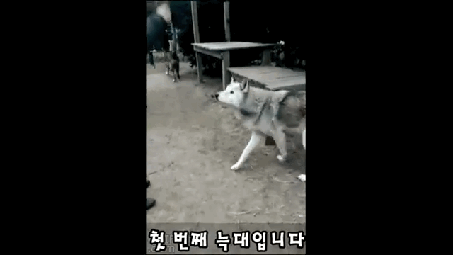 A1F1CB9F-873B-4592-AB7A-592954AA28C0.gif