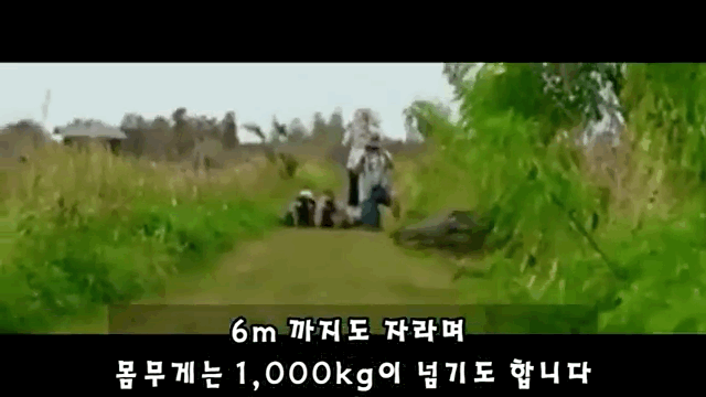 DDA841E7-CEB6-4A2A-8D0C-AC48EF3B479F.gif