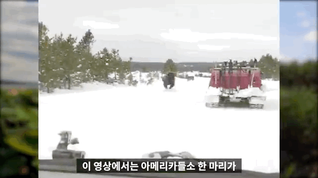E48BAC02-0E7A-45A8-B638-09ED7EF13E48.gif