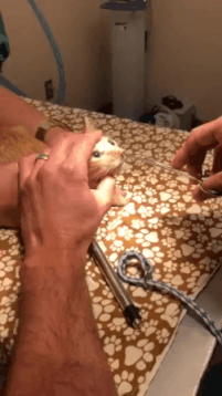 20230522_150401.gif