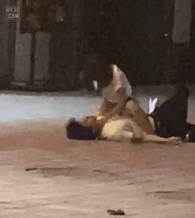 내가 너 좋아하면 안되냐.gif