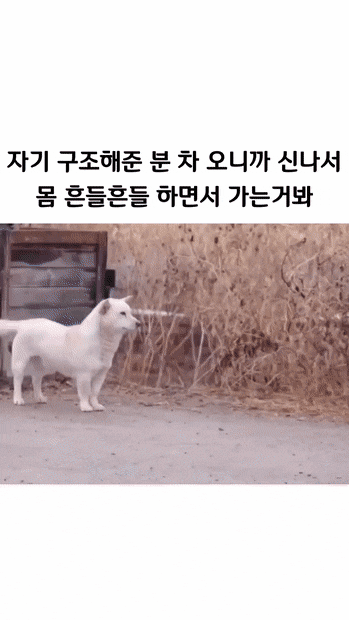 b80d85a6589216cffccfe399730128fbe7a1ee62.gif