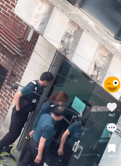 3.gif