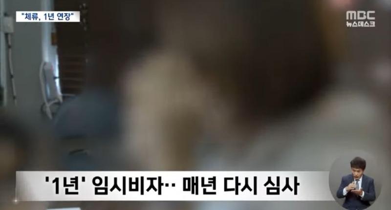 비자드림 이미지