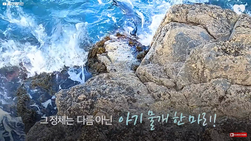 3F408390-20A7-4433-82FB-E82C0A6AD34F.png