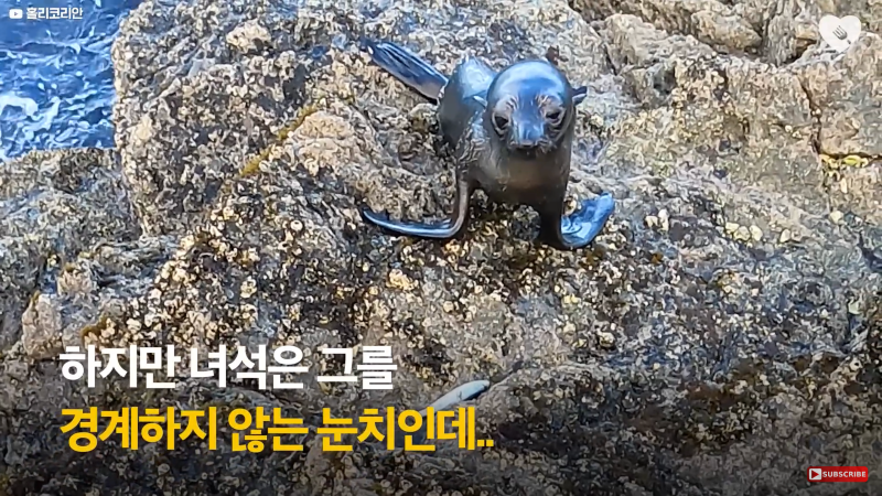 1B5EA9FB-1AA6-479C-8A11-1E73A1AF87EB.png