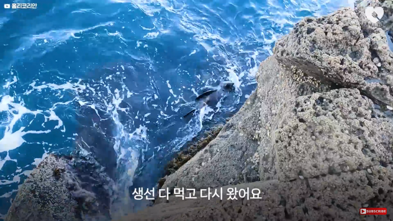08AAC9B2-F6EA-4188-A478-0B4DF7B85216.png