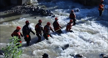 3.gif