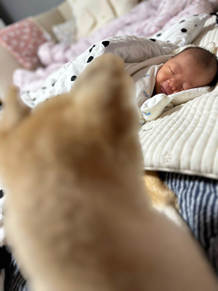 KakaoTalk_20230728_133231276_02.jpg