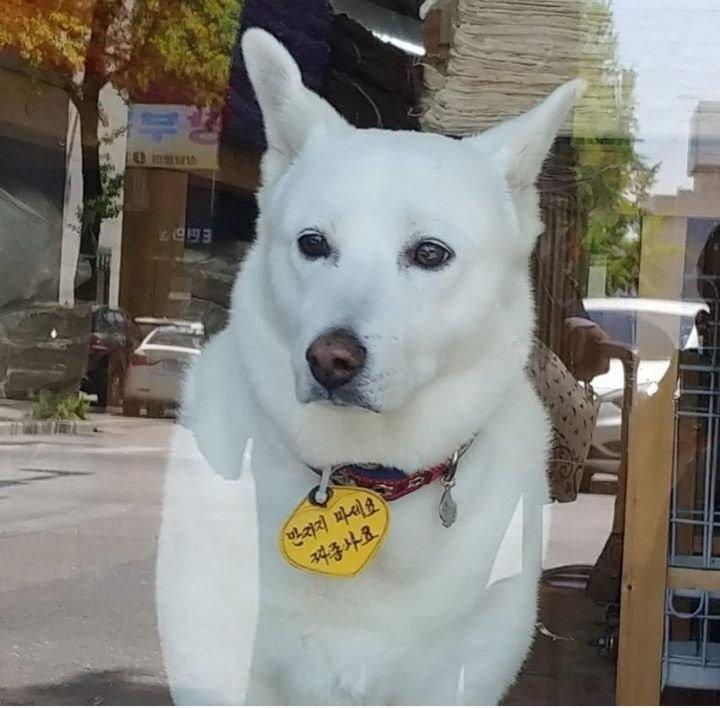 드림문구 이미지