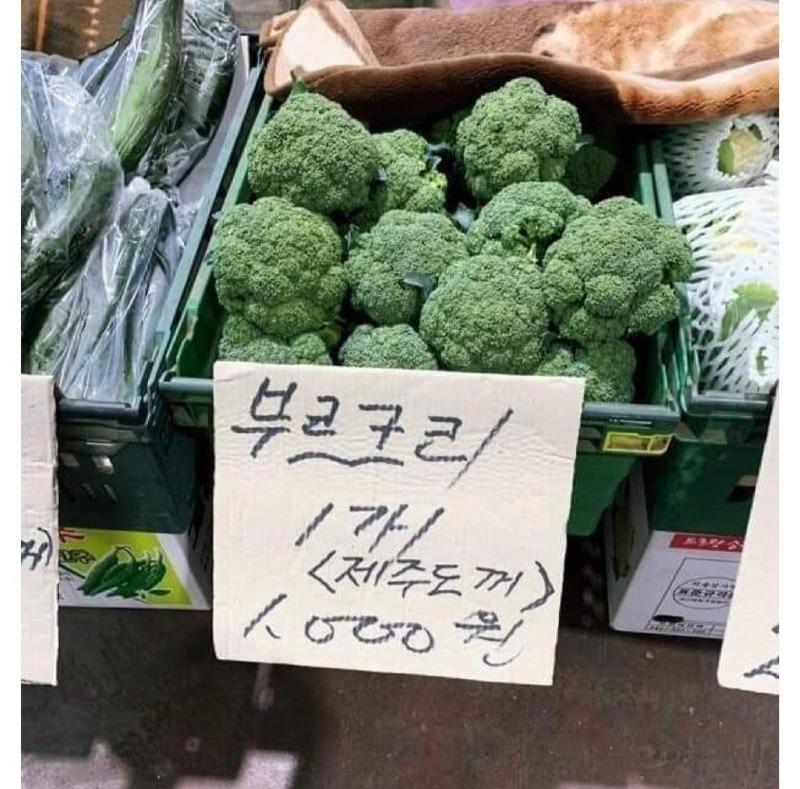 휘난새 이미지