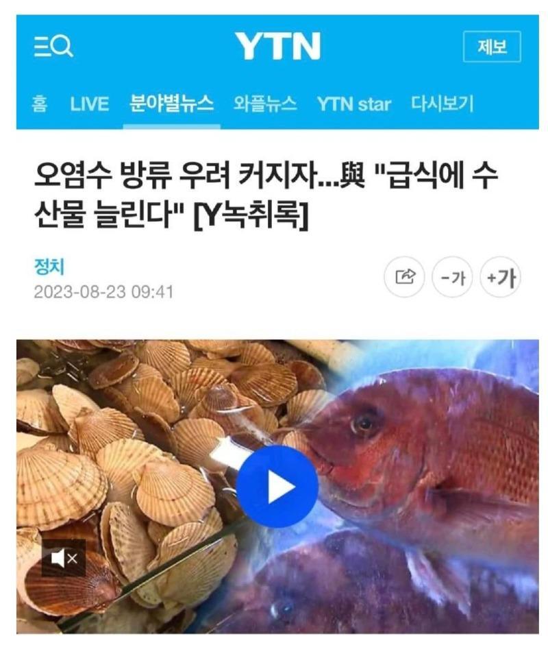 중국은 일본산 수입 중단 우리는 애들용으로 수입.jpg