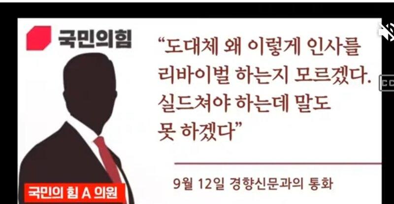 돼통령 이미지