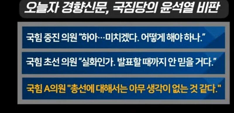 돼통령 이미지