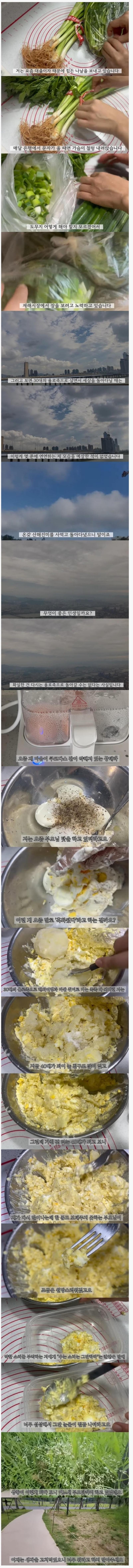 웹 캡처_22-9-2023_9114_mlbpark.donga.com.jpeg