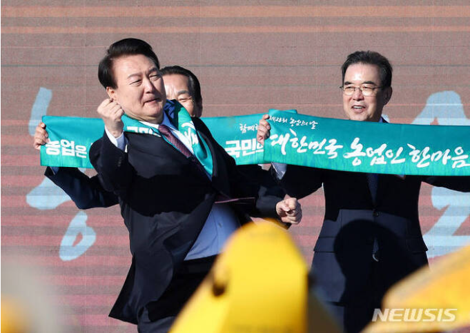 에잇드림 이미지