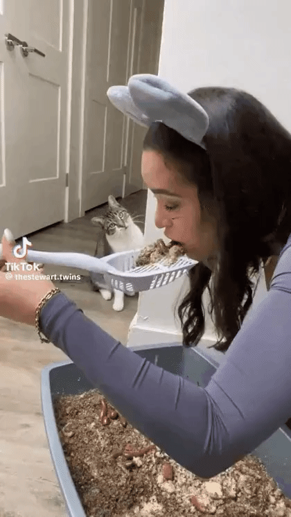 ezgif.com-video-to-gif.gif