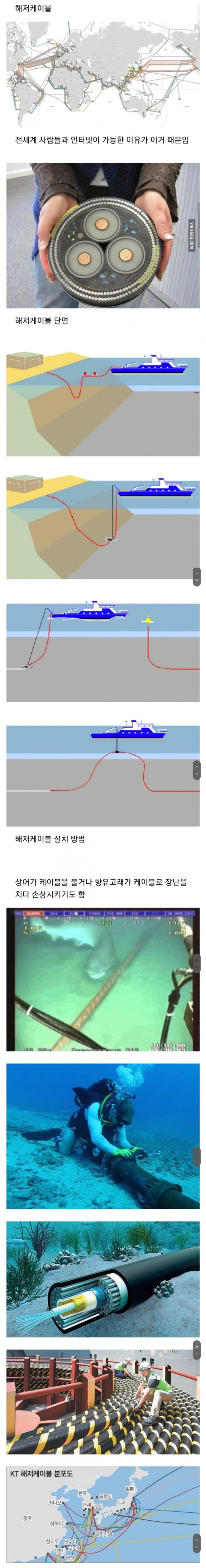 안 믿는 사람이 많다는 해저 케이블.JPG