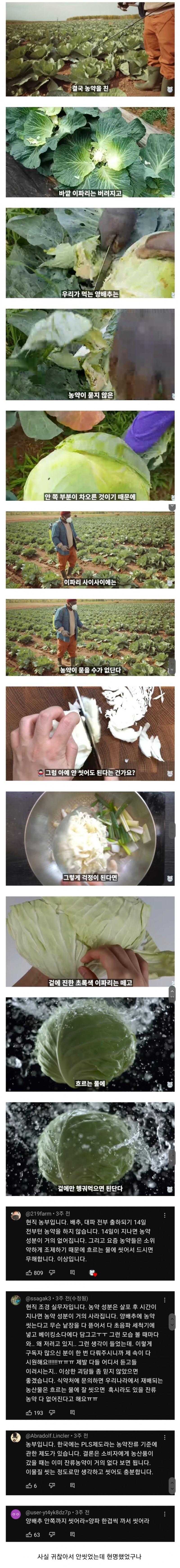 양배추 한장한장 열심히 세척하던 분들 보세요.JPG