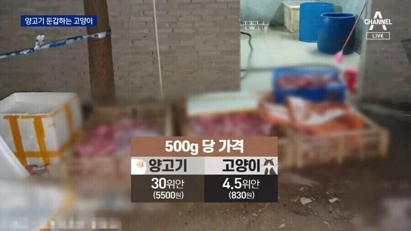 짱깨 이미지