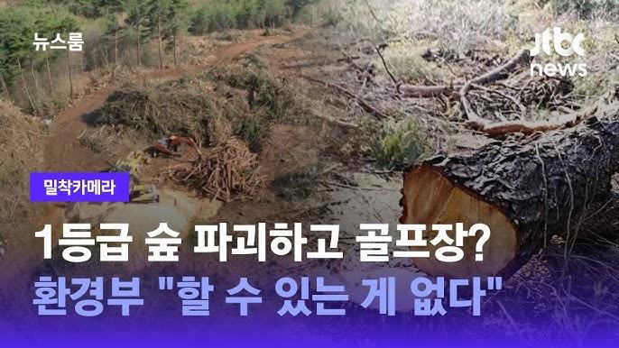 태양산림 이미지