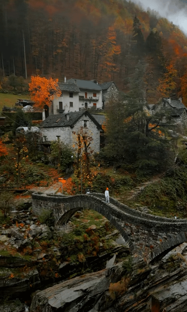 313c8c51b2a0104570a8d0d4a8139e943521c3ab_20231208174452.gif