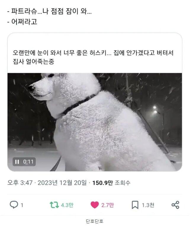 파트라슈 이미지