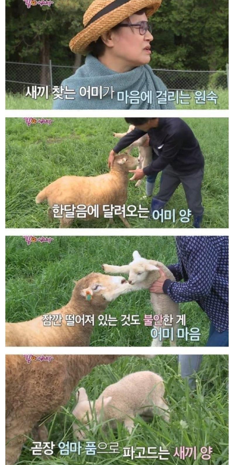 Screenshot_20231227_094606_KakaoTalk.jpg