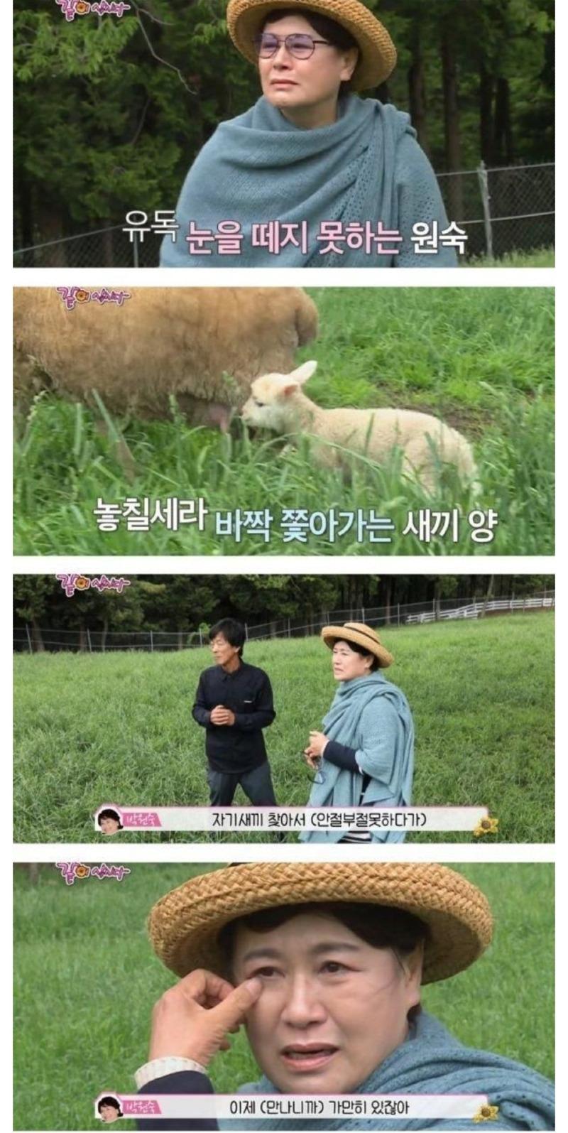 Screenshot_20231227_094616_KakaoTalk.jpg