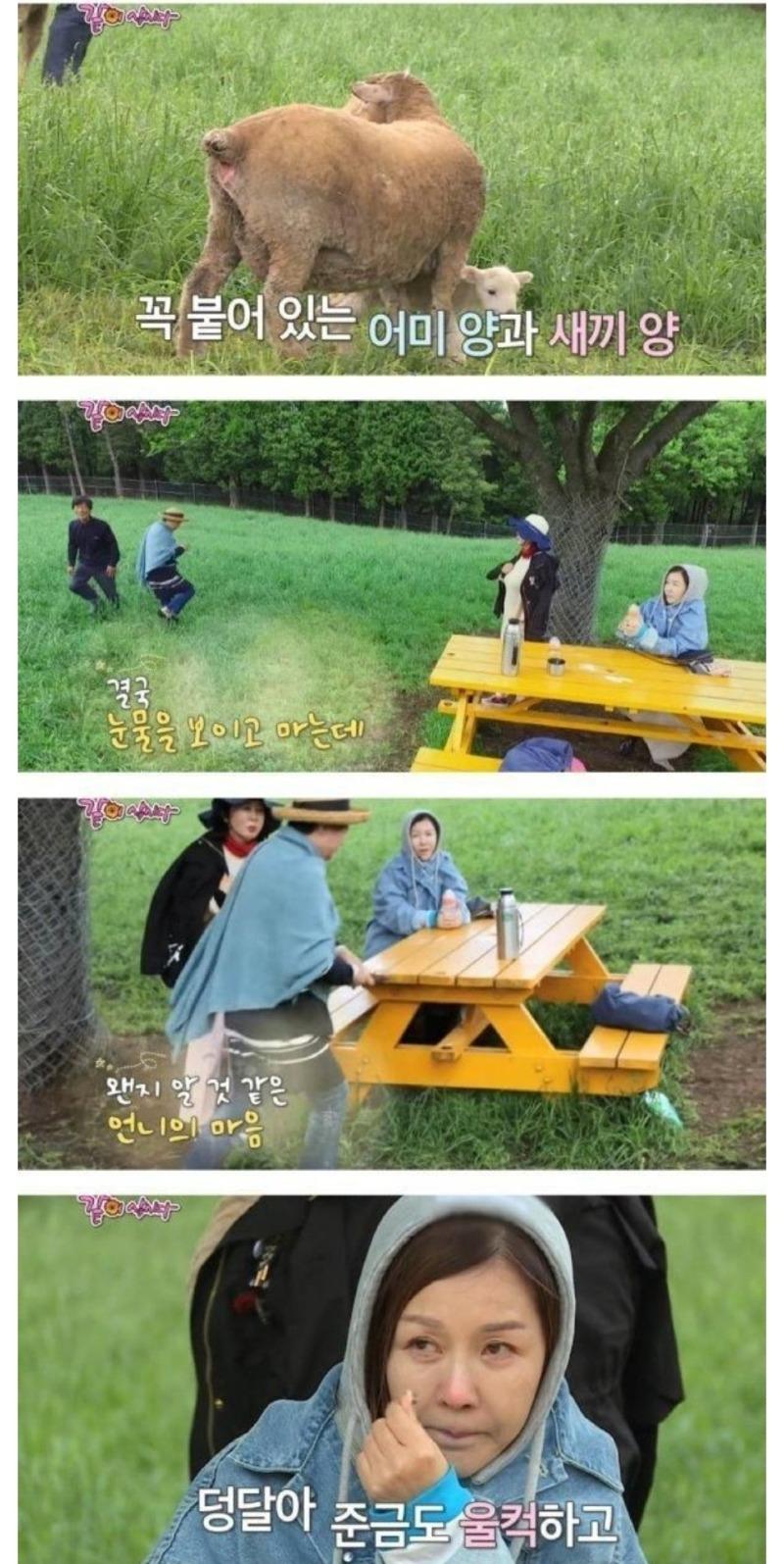 Screenshot_20231227_094626_KakaoTalk.jpg